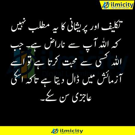 Islamic Quotes image