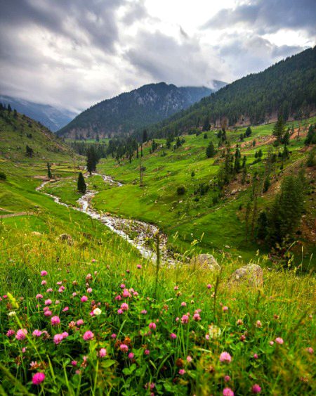 Beautiful Nature image