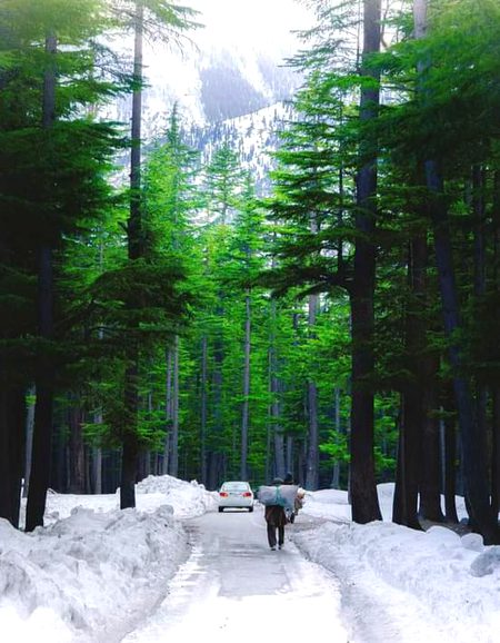 Beautiful nature😍