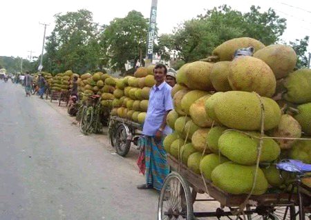 Beautiful Nature image