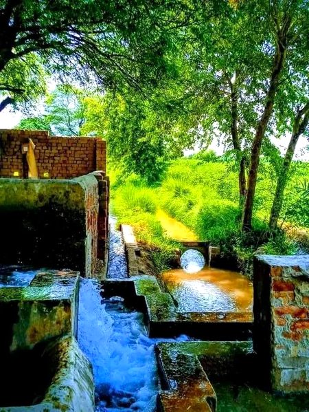 زندگی کی الجھنوں سے فرار چاہیے 
مجھے بچپن کا ایک دن ادھار چاہیے 💔
