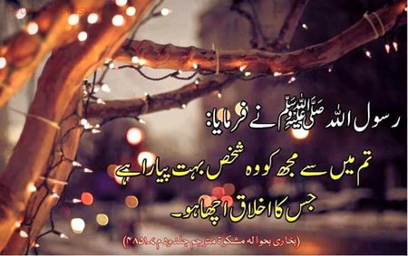 Islamic Quotes image