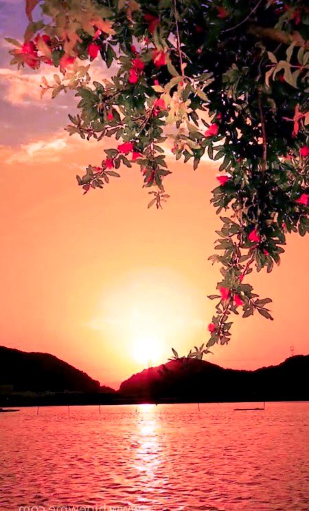 Beautiful Nature image