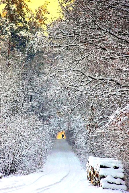 Beautiful Nature image