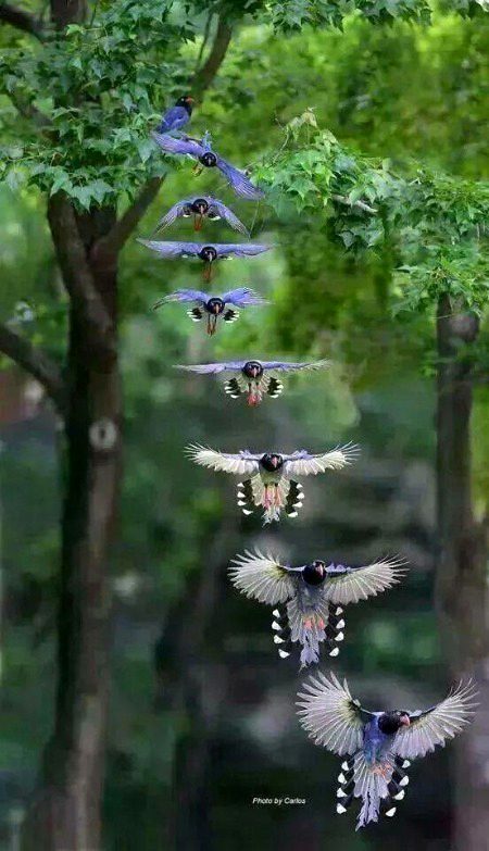 Beautiful Nature image