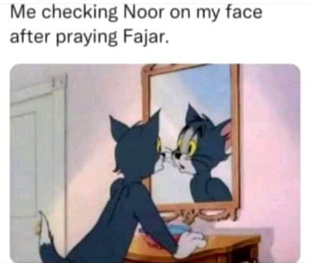 Memes & Satire image