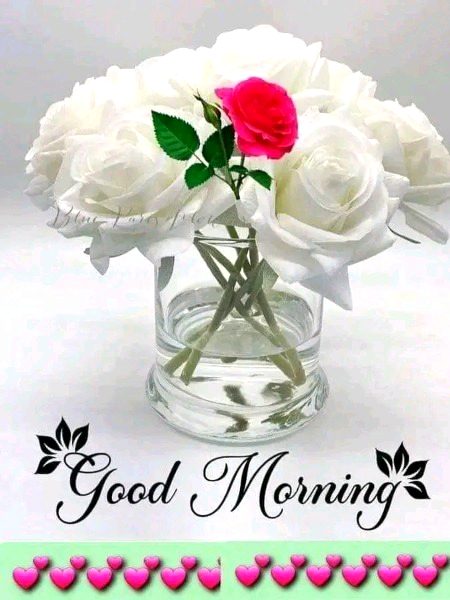 Beautiful Nature image