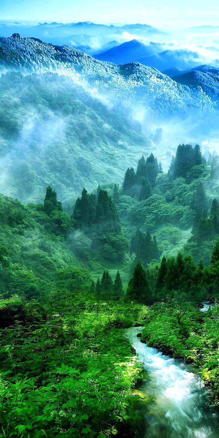 Beautiful Nature image
