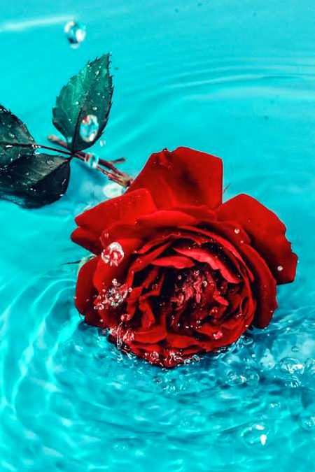 .q1 all umeed hai ap sub thk hn gye.__Z@G.