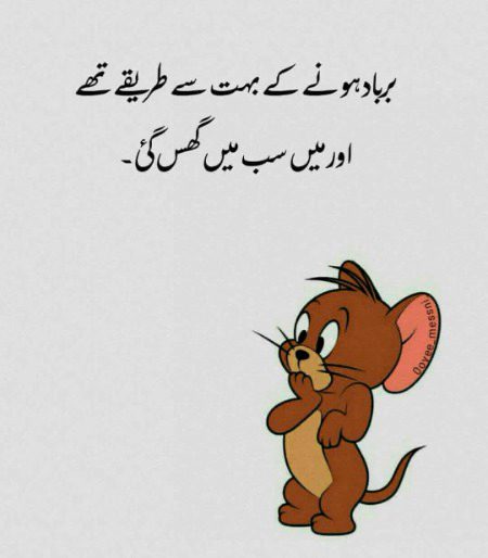 Memes & Satire image