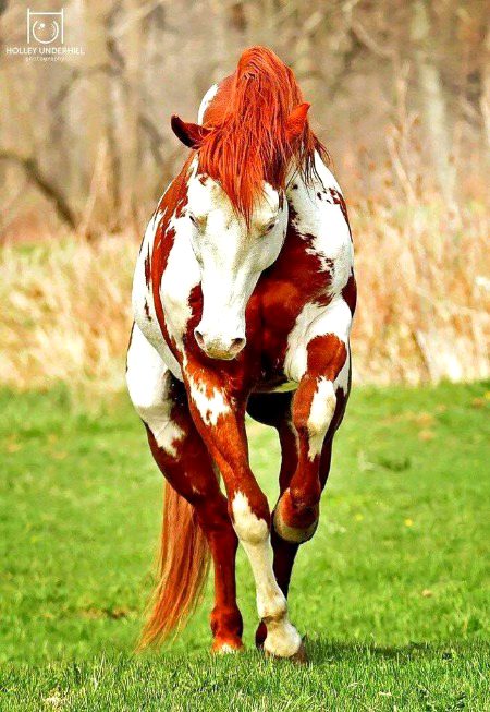 Beautiful Nature image