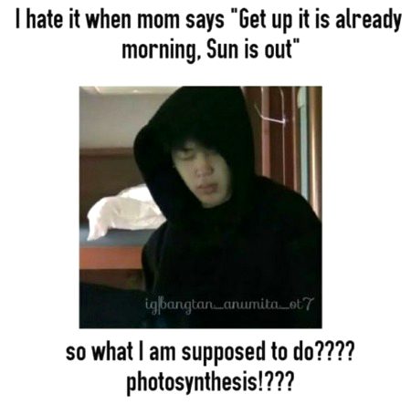 Memes & Satire image