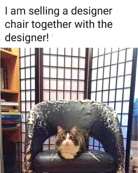 Memes & Satire image