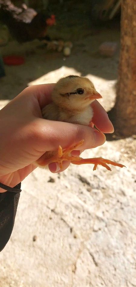 Beautiful Nature image