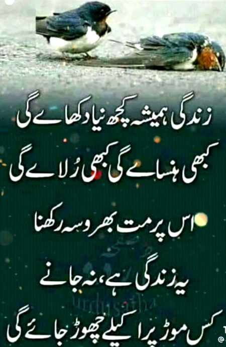 Jinhon ne tmhary sth bura kia h na ...tum in k sth bura mat kro . Bs un logon se door ho jao ...🌾🥀🌾
