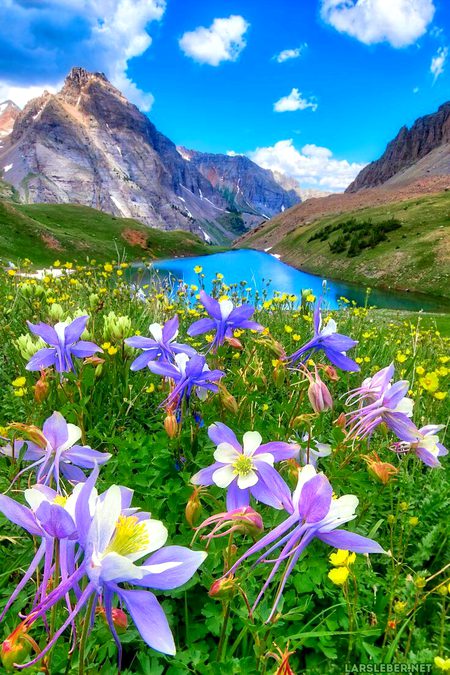 Beautiful Nature image