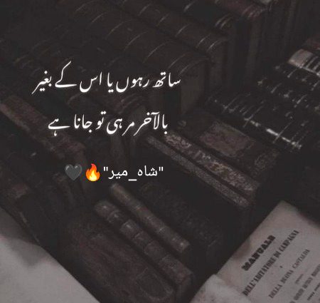 "شاہ_میر"🔥🖤