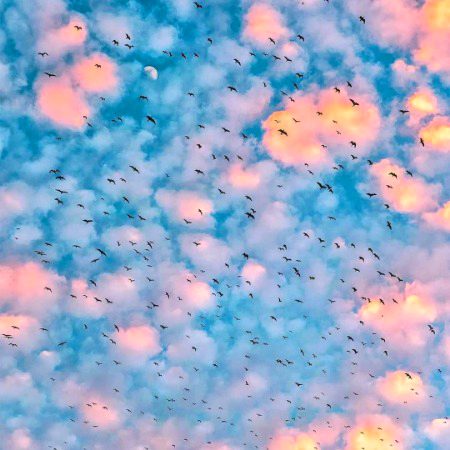 I miss those evening ❤😍😍😍😍😍🤩🤩🤩,when this view happens on top of my house😍