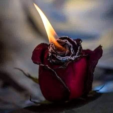 ❤
آگ سے سیکھ لیا ہے یہ قرینہ ہم نے 
بجھ بھی جانا ،تو بڑی دیر سلگتے رہنا 
جانے کس عمرمیں جائے گی یہ عادت اپنی
روٹھنا اس سے، تو اوروں سے الجھتے رہنا.