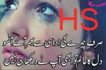 اوڑھ لی ہے خاموشی، اب گفتگو نہیں کرنی
دل کو مار دینا ہے، اب آرزو نہیں کرنی