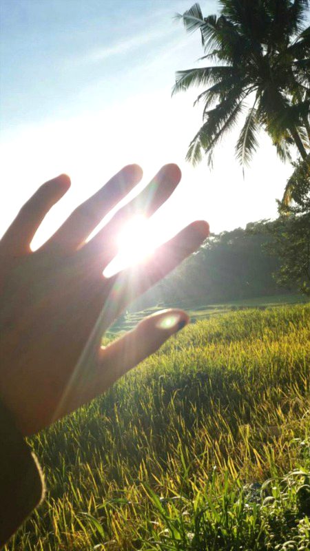 Beautiful Nature image