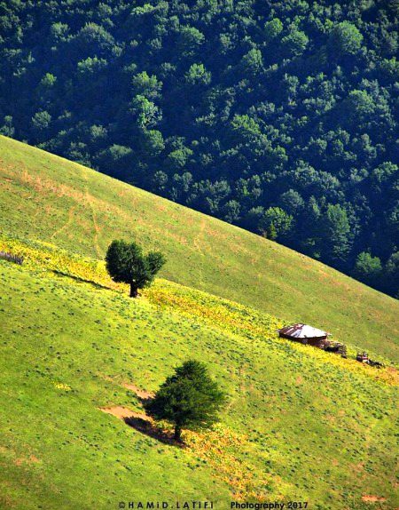 Beautiful Nature image
