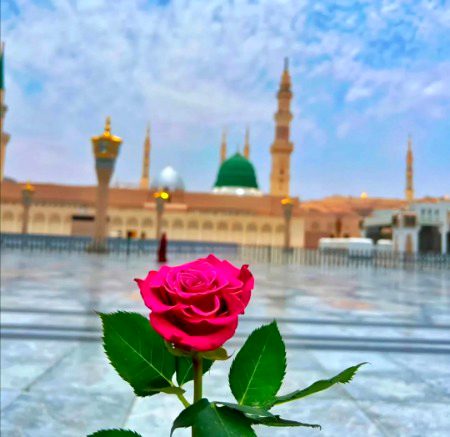 Beautiful Structures image