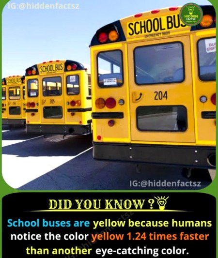 Interesting Posts image