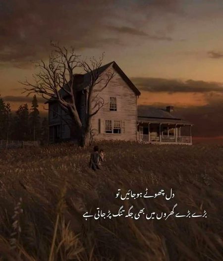 ❤️🖤💜❤️🖤💜❤️🖤💜