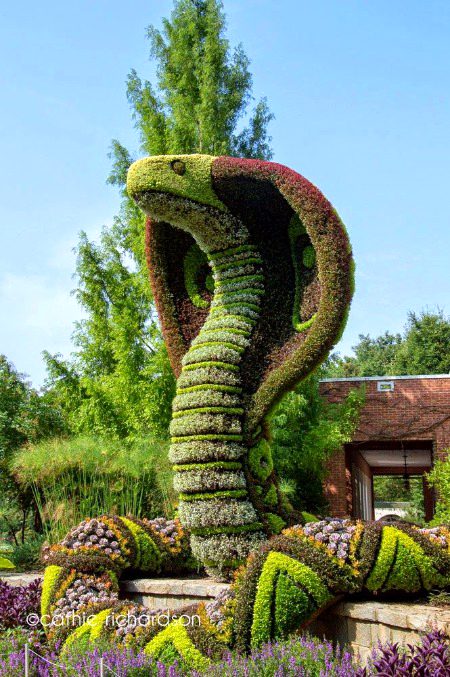 Beautiful Structures image