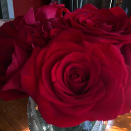 Niceee🏵🏵🌹🌹🌹🌺🌺