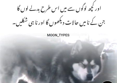 Silent 🤐 Life 🧬