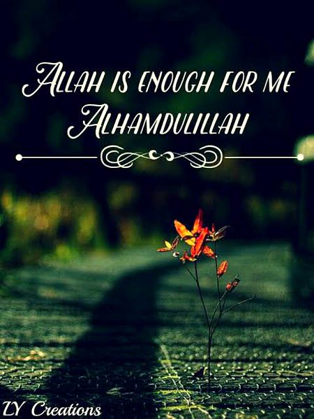 🍁Zoq_Shab🍁