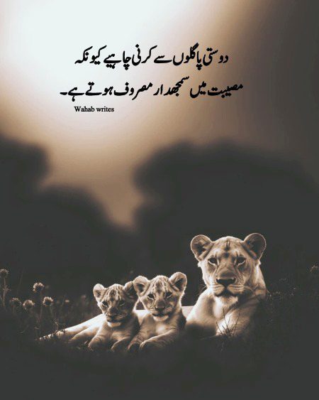 Motivational Quotes image