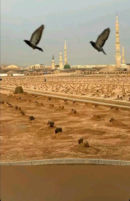 Beautiful Structures image