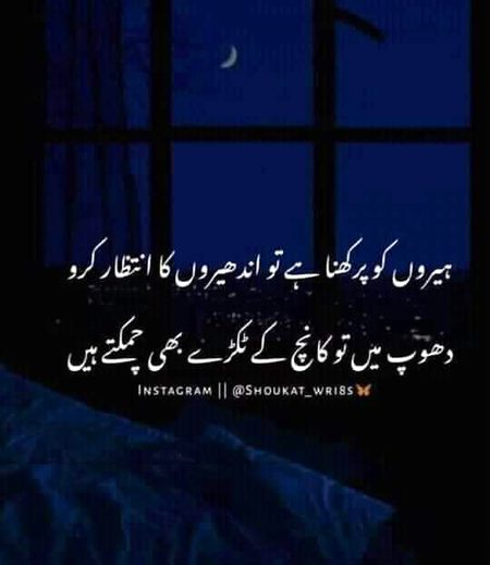 Bilkul shi