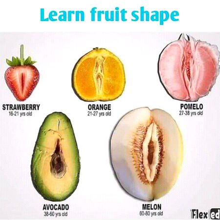learn fruit shape ๏_๏