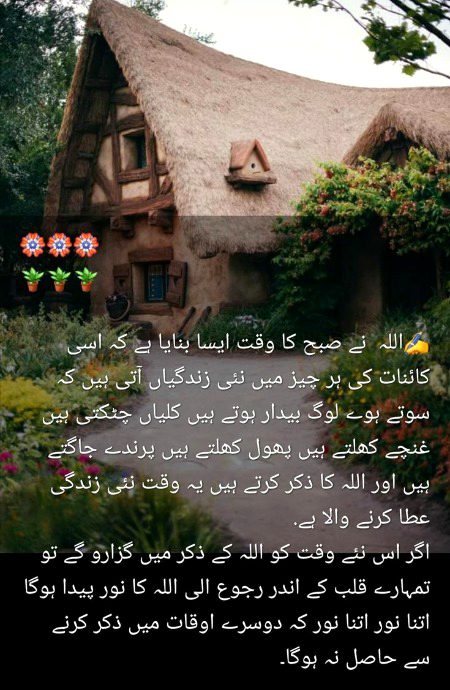 ABSOLUTELY RIGHT BEST