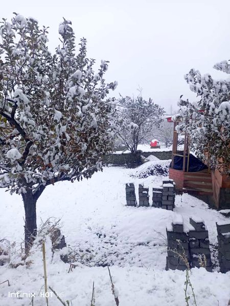 Beautiful Nature image