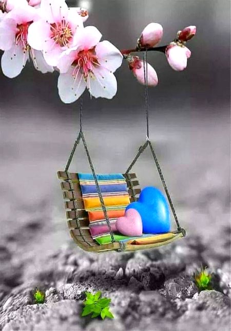 ❤️💜🖤💜🖤❤️