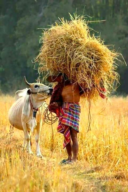 Beautiful Nature image