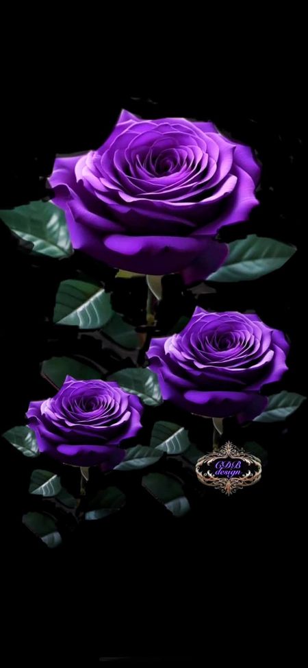 Digital Art image