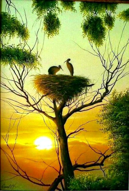 Beautiful Nature image