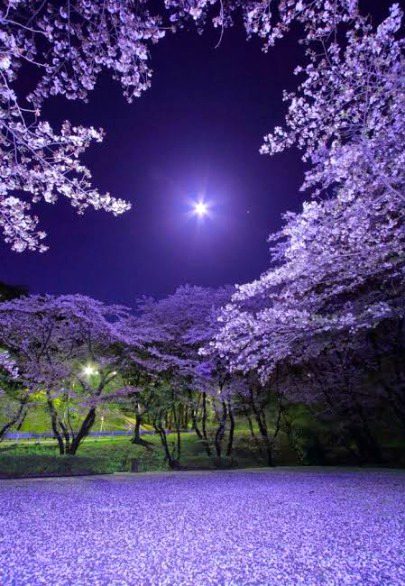 Beautiful Nature image