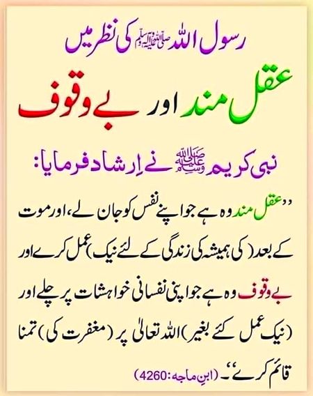 Islamic Quotes image