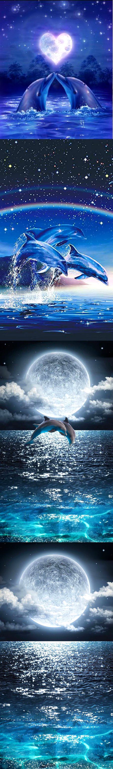 Dholphen jumping wallper