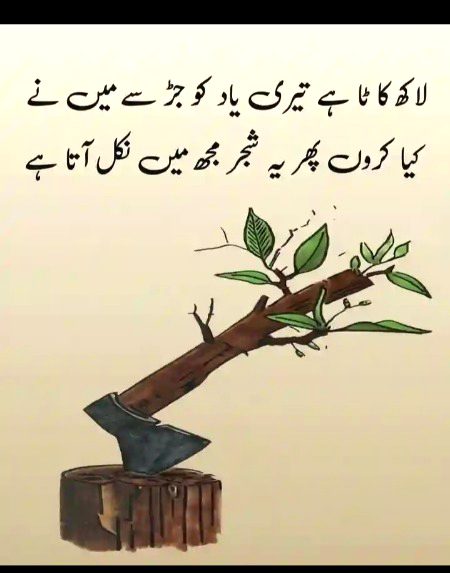 Sad Poetry image