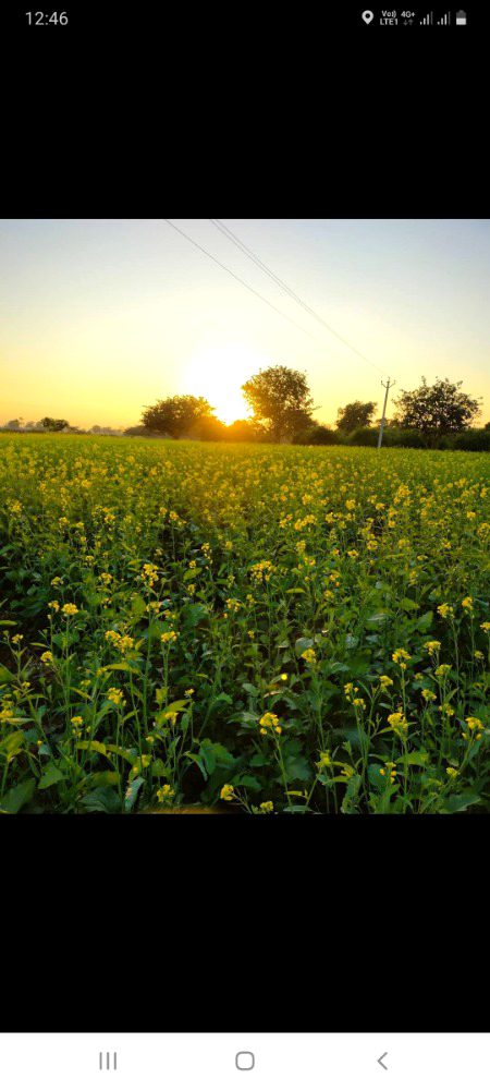 Beautiful Nature image