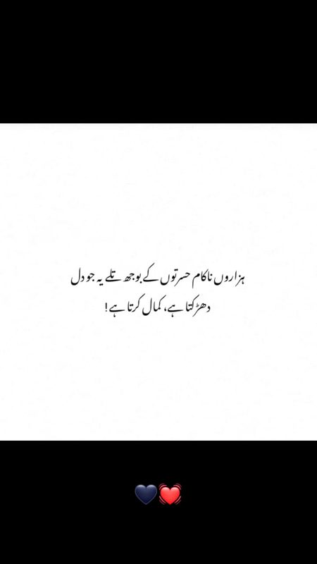 Shahnoor Abbasi