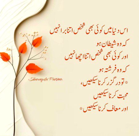 Ya to apki adat  h S ji